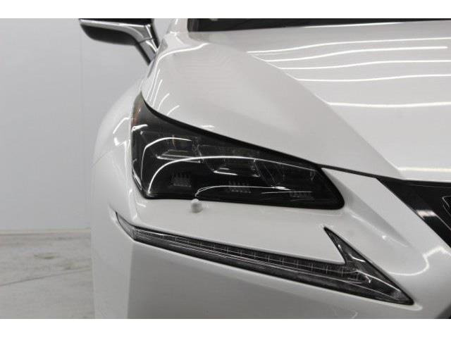 ���Ǝҗl�ւ̔̔��͂��f�肳���Ă��������܂��B �Ԍ������ԗ��̏ꍇ�́A�Ԍ����擾�������x�������z�ŕ\�����Ă���܂��B