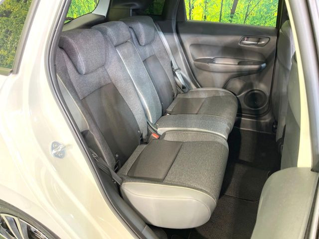 �㕔���Ȃ��C�ɂȂ�悤�ȃL�Y�E�����ւ��蓙�A�傫�ȃ_���[�W�͂Ȃ��A�ǍD�ȏ�Ԃł��B