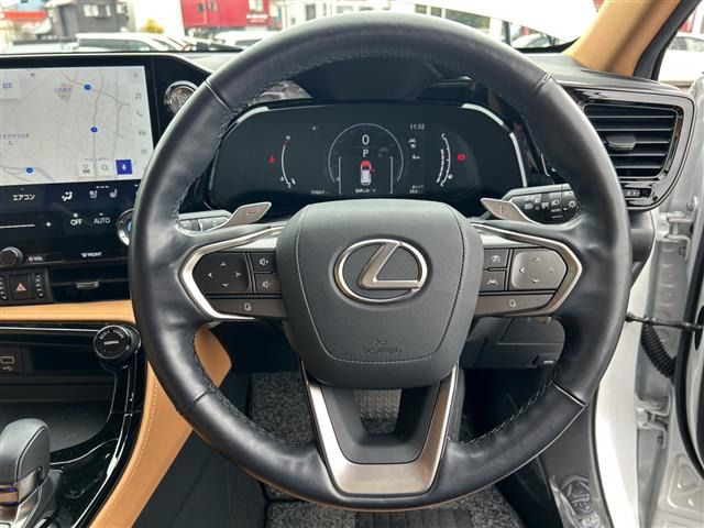 NX250 バージョンL