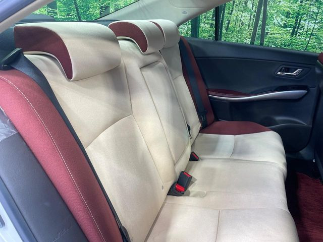 �㕔���Ȃ��C�ɂȂ�悤�ȃL�Y�E�����ւ��蓙�A�傫�ȃ_���[�W�͂Ȃ��A�ǍD�ȏ�Ԃł��B