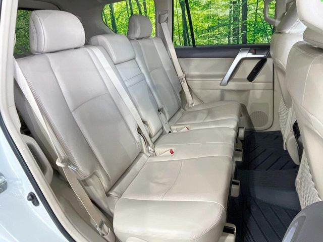 �㕔���Ȃ��C�ɂȂ�悤�ȃL�Y�E�����ւ��蓙�A�傫�ȃ_���[�W�͂Ȃ��A�ǍD�ȏ�Ԃł��B