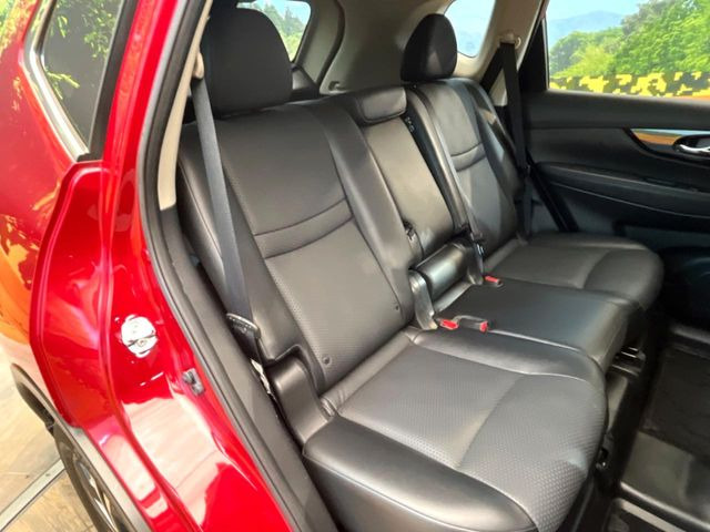 �㕔���Ȃ��C�ɂȂ�悤�ȃL�Y�E�����ւ��蓙�A�傫�ȃ_���[�W�͂Ȃ��A�ǍD�ȏ�Ԃł��B