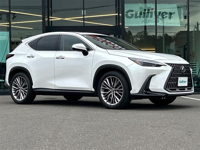 NX250 バージョンL