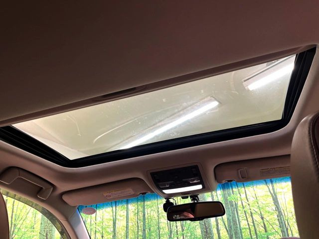 �y�T�����[�t�z�J���������Ղ�̊󏭑����A�T�����[�t����������Ă��܂�!�ԓ��ɖ�����������ꂽ��i�F���y���ވȊO�ɂ��A�ԓ��̋�C���ȒP�Ɋ��C�ł��ĉ��K�ł�!