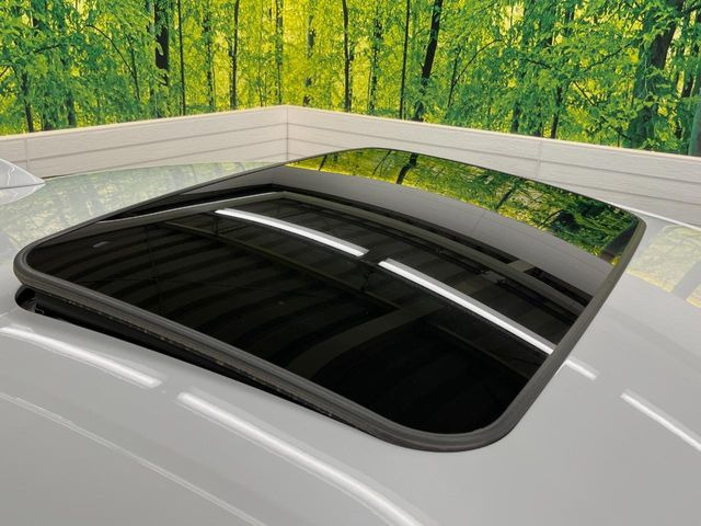 �y�T�����[�t�z�J���������Ղ�̊󏭑����A�T�����[�t����������Ă��܂�!�ԓ��ɖ�����������ꂽ��i�F���y���ވȊO�ɂ��A�ԓ��̋�C���ȒP�Ɋ��C�ł��ĉ��K�ł�!