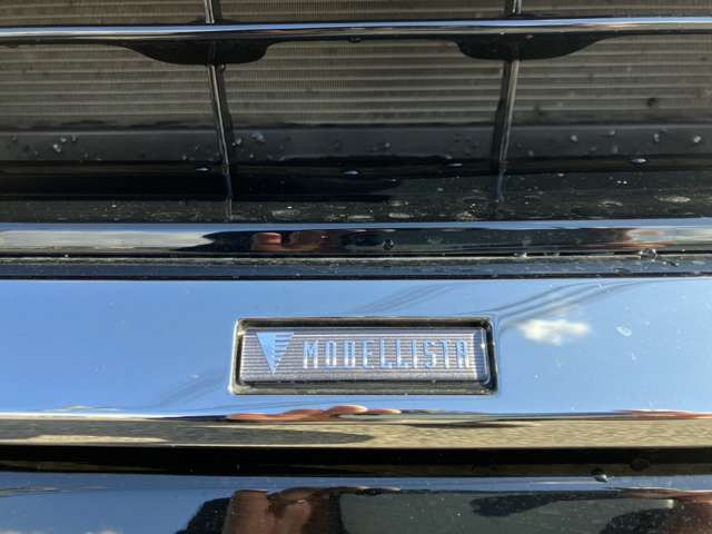 ���f���X�^�G�A��!