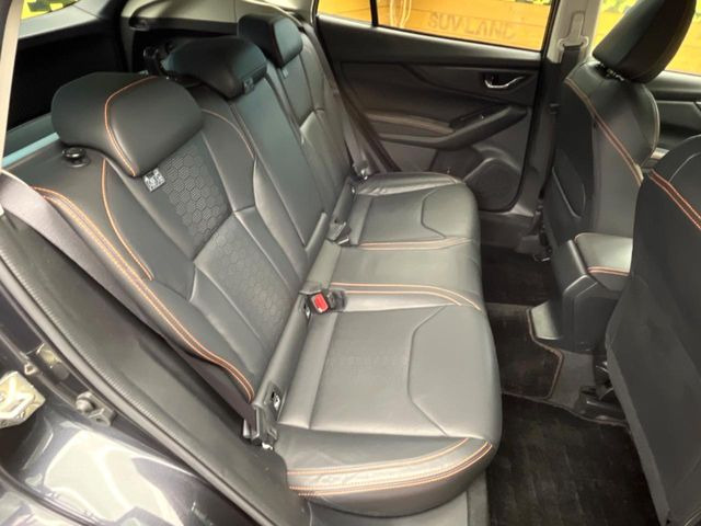 �㕔���Ȃ��C�ɂȂ�悤�ȃL�Y�E�����ւ��蓙�A�傫�ȃ_���[�W�͂Ȃ��A�ǍD�ȏ�Ԃł��B