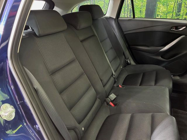 �㕔���Ȃ��C�ɂȂ�悤�ȃL�Y�E�����ւ��蓙�A�傫�ȃ_���[�W�͂Ȃ��A�ǍD�ȏ�Ԃł��B