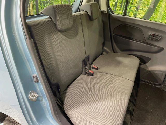 �㕔���Ȃ��C�ɂȂ�悤�ȃL�Y�E�����ւ��蓙�A�傫�ȃ_���[�W�͂Ȃ��A�ǍD�ȏ�Ԃł��B