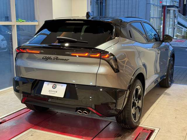 ジュニアイブリダ プレミアム