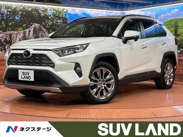 RAV4(トヨタ) 2.0 G Zパッケージ 4WD 中古車画像