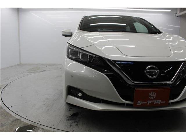 ���Ǝҗl�ւ̔̔��͂��f�肳���Ă��������܂��B �Ԍ������ԗ��̏ꍇ�́A�Ԍ����擾�������x�������z�ŕ\�����Ă���܂��B