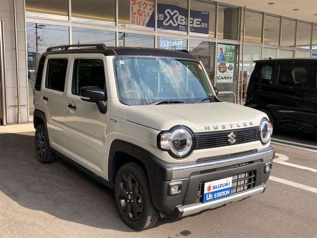 ハスラータフワイルド