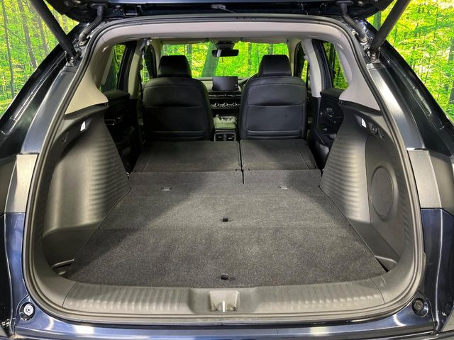 �y�n���Y�t���[�p���[�o�b�N�h�A�z���A�o���p�[�����ɑ�����o�����ꂷ�邾���Ńo�b�N�h�A�������ŊJ�����肪�ו��łӂ������Ă��鎞�ł����N���N�J���삪�s���܂�!