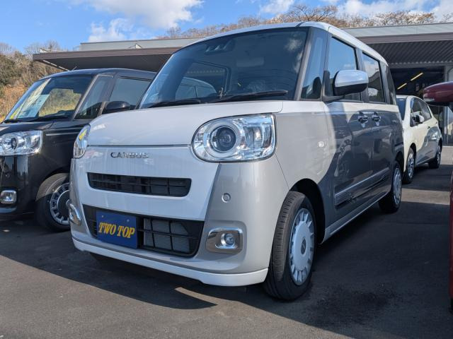 ムーヴキャンバスストライプス G