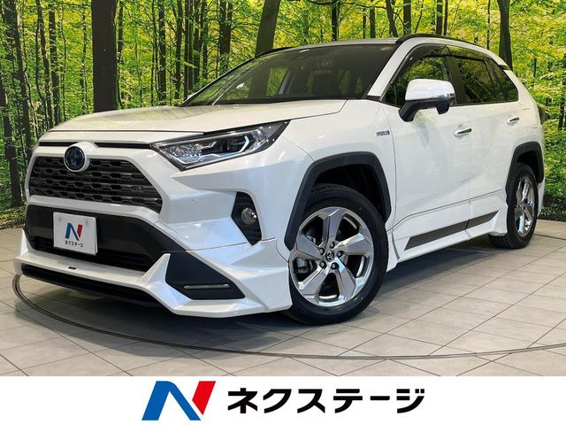 RAV42.5 ハイブリッド G E-Four 4WD