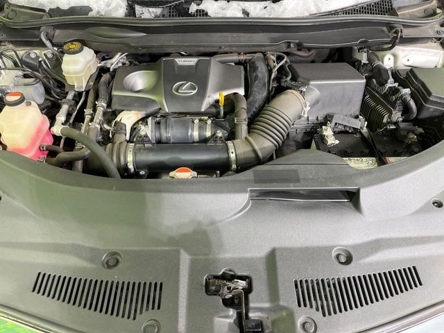 �e�؁E���J�Ȑ�僁�J�j�b�N�X�^�b�t������!�E�Ԍ��E�_�������E���̓��̏C���ȂǃA�t�^�[�T�[�r�X�����S�B���Ԃ̃J�X�^�}�C�Y���l�N�X�e�[�W�̃T�[�r�X�X�^�b�t�܂ł����k��������!