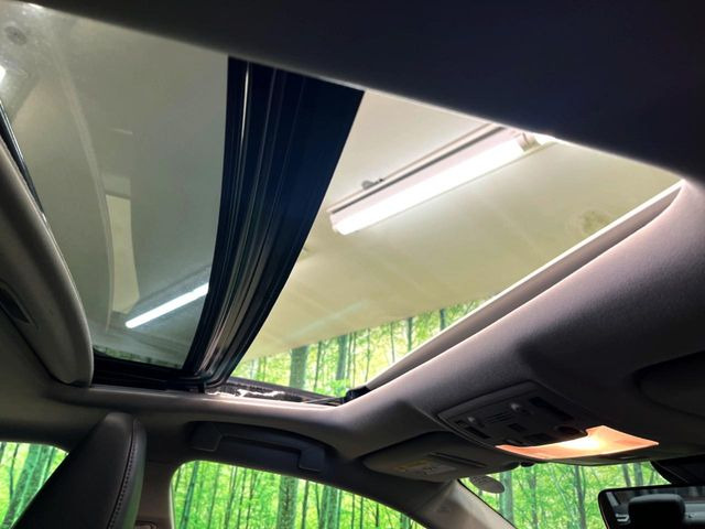 �y�T�����[�t�z�J���������Ղ�̊󏭑����A�T�����[�t����������Ă��܂�!�ԓ��ɖ�����������ꂽ��i�F���y���ވȊO�ɂ��A�ԓ��̋�C���ȒP�Ɋ��C�ł��ĉ��K�ł�!