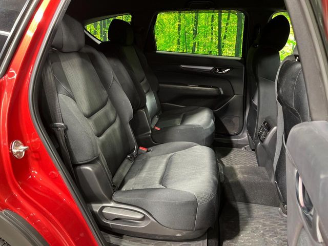 �㕔���Ȃ��C�ɂȂ�悤�ȃL�Y�E�����ւ��蓙�A�傫�ȃ_���[�W�͂Ȃ��A�ǍD�ȏ�Ԃł��B