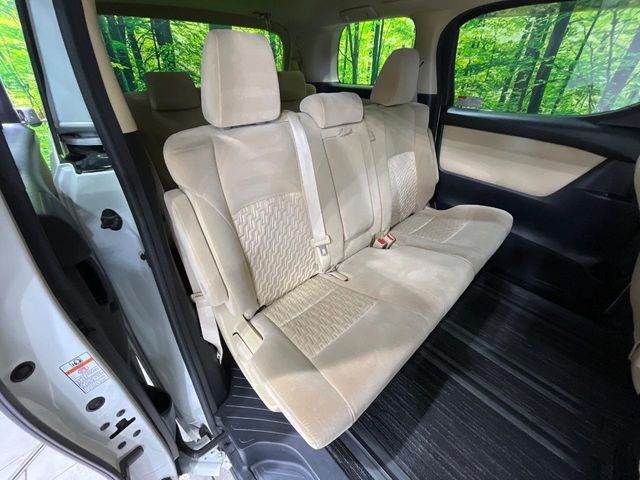 �㕔���Ȃ��C�ɂȂ�悤�ȃL�Y�E�����ւ��蓙�A�傫�ȃ_���[�W�͂Ȃ��A�ǍD�ȏ�Ԃł��B