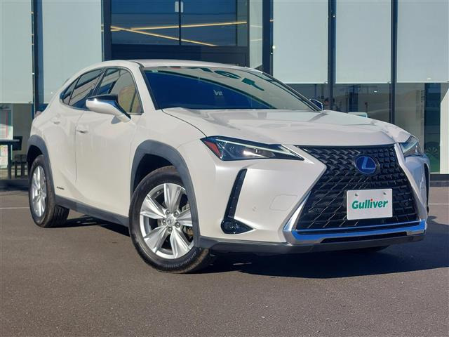 UX250h バージョンC