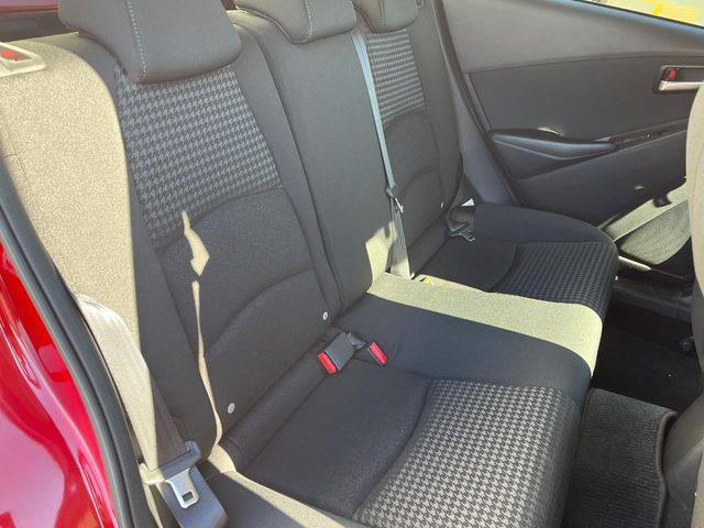 �㕔���Ȃ��C�ɂȂ�悤�ȃL�Y�E�����ւ��蓙�A�傫�ȃ_���[�W�͂Ȃ��A�ǍD�ȏ�Ԃł��B