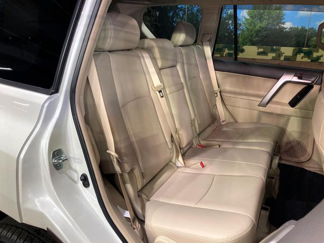 �㕔���Ȃ��C�ɂȂ�悤�ȃL�Y�E�����ւ��蓙�A�傫�ȃ_���[�W�͂Ȃ��A�ǍD�ȏ�Ԃł��B