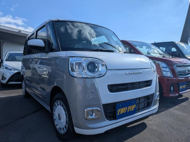 ムーヴキャンバスストライプス G