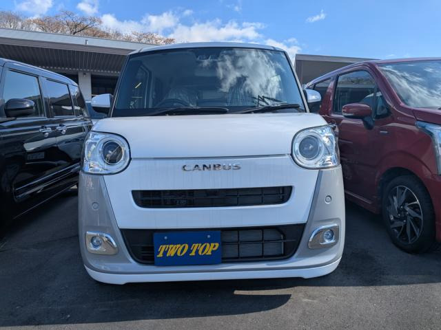 ムーヴキャンバスストライプス G