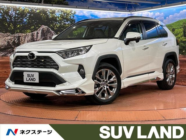 RAV4(トヨタ) 2.0 G Zパッケージ 4WD 中古車画像