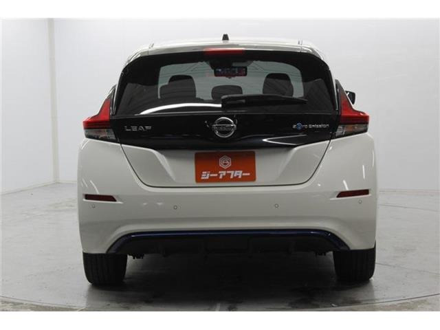 ���Ǝҗl�ւ̔̔��͂��f�肳���Ă��������܂��B �Ԍ������ԗ��̏ꍇ�́A�Ԍ����擾�������x�������z�ŕ\�����Ă���܂��B