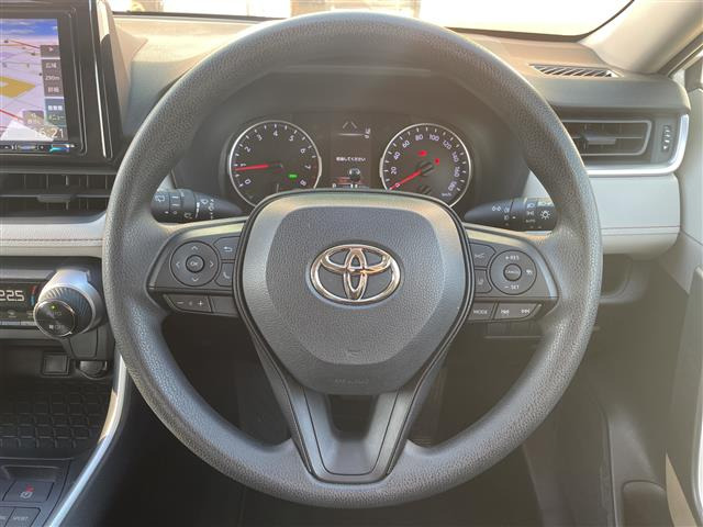 RAV42.0 X
