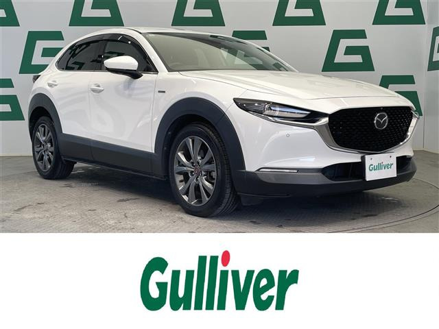 CX-301.8 XD 100周年特別記念車