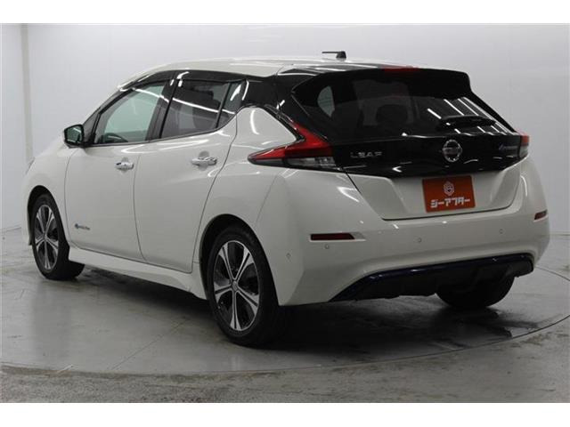 ���Ǝҗl�ւ̔̔��͂��f�肳���Ă��������܂��B �Ԍ������ԗ��̏ꍇ�́A�Ԍ����擾�������x�������z�ŕ\�����Ă���܂��B