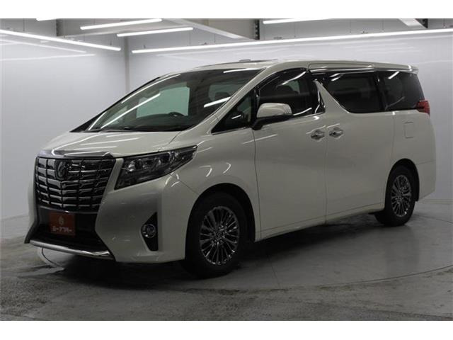 ���Ǝҗl�ւ̔̔��͂��f�肳���Ă��������܂��B �Ԍ������ԗ��̏ꍇ�́A�Ԍ����擾�������x�������z�ŕ\�����Ă���܂�