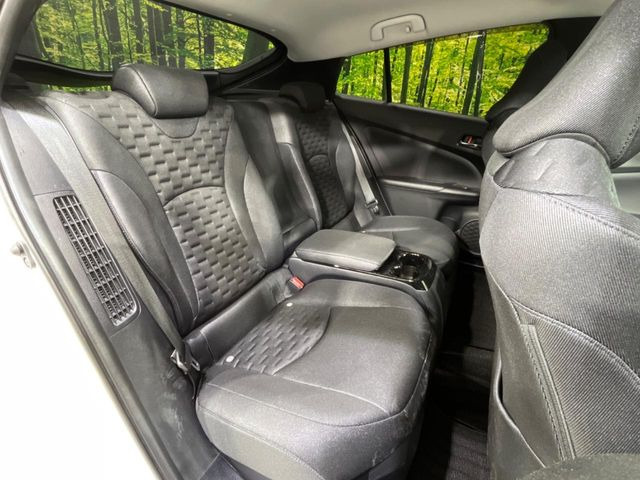 �㕔���Ȃ��C�ɂȂ�悤�ȃL�Y�E�����ւ��蓙�A�傫�ȃ_���[�W�͂Ȃ��A�ǍD�ȏ�Ԃł��B