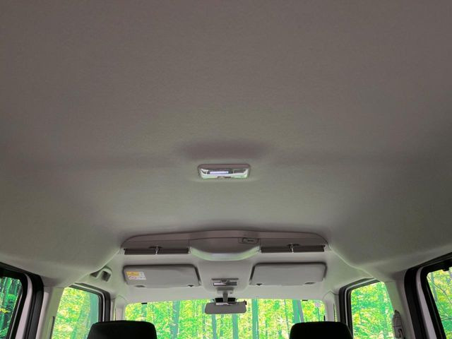 �㕔���Ȃ��C�ɂȂ�悤�ȃL�Y�E�����ւ��蓙�A�傫�ȃ_���[�W�͂Ȃ��A�ǍD�ȏ�Ԃł��B