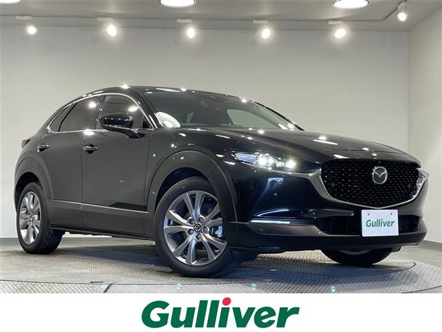 CX-301.8 XD プロアクティブ