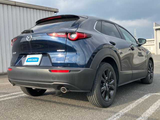 CX-302.0 20S ブラックトーンエディション