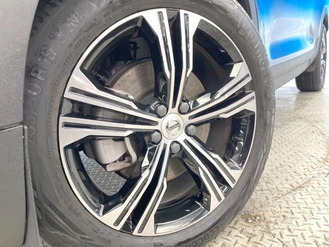 ������19�C���`�A���~�z�C�[��:�A���ԂȂ�ł͂̑�z����������x����z�C�[���Ƒ����ł�!���{�Ԃ̑���Ɋ���Ă�����ɂ����Б̊����Ē��������قǁA�������x���ł܂Ƃ܂��Ă��܂�!