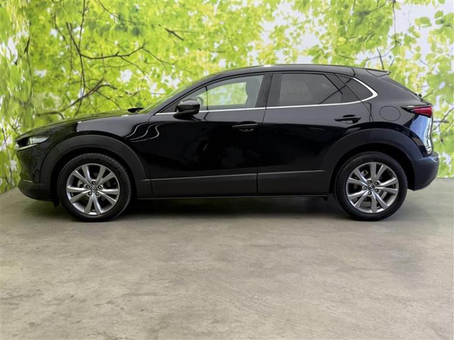 CX-301.8 XD Lパッケージ