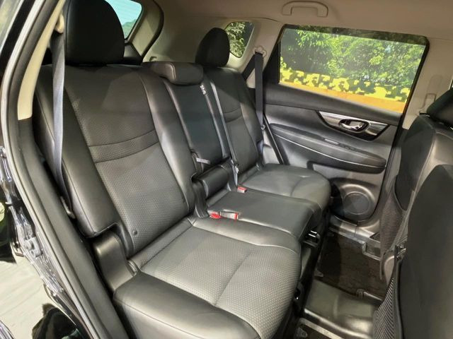 �㕔���Ȃ��C�ɂȂ�悤�ȃL�Y�E�����ւ��蓙�A�傫�ȃ_���[�W�͂Ȃ��A�ǍD�ȏ�Ԃł��B