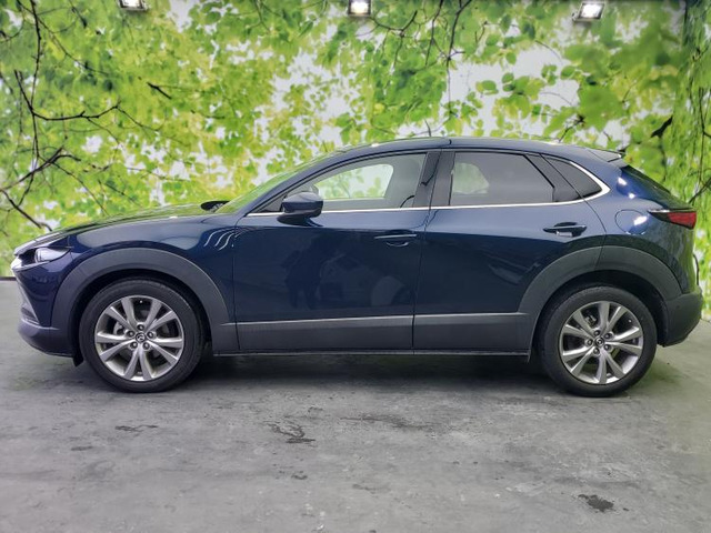 CX-302.0 20S プロアクティブ