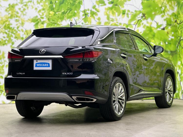 RX300 バージョンL