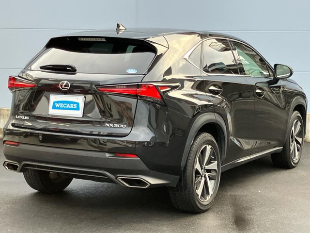 NX300 バージョンL