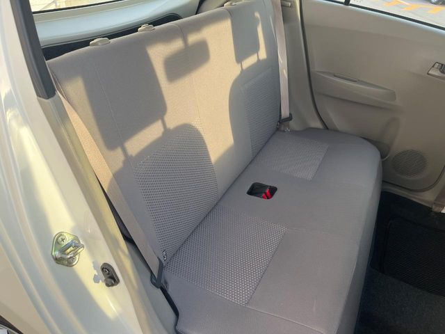 �㕔���Ȃ��C�ɂȂ�悤�ȃL�Y�E�����ւ��蓙�A�傫�ȃ_���[�W�͂Ȃ��A�ǍD�ȏ�Ԃł��B