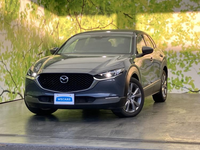 CX-302.0 20S プロアクティブ ツーリングセレクション