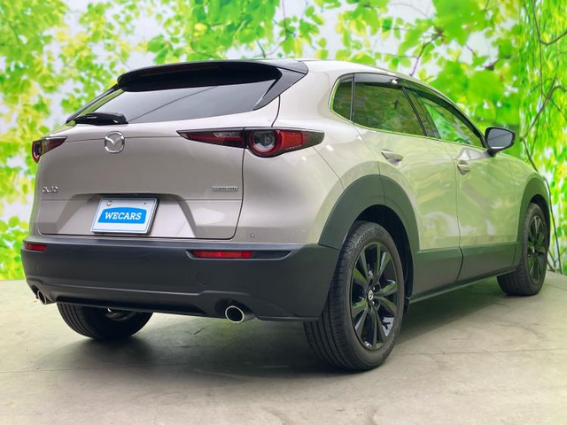 CX-302.0 20S ブラックトーンエディション
