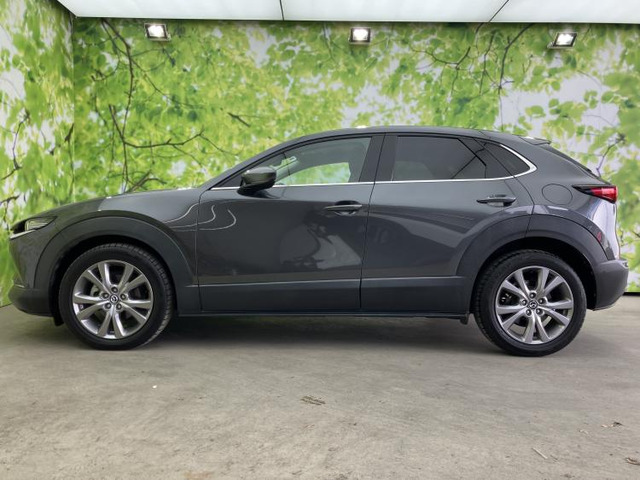 CX-301.8 XD プロアクティブ 4WD