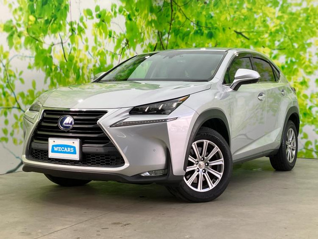 NX300h Iパッケージ